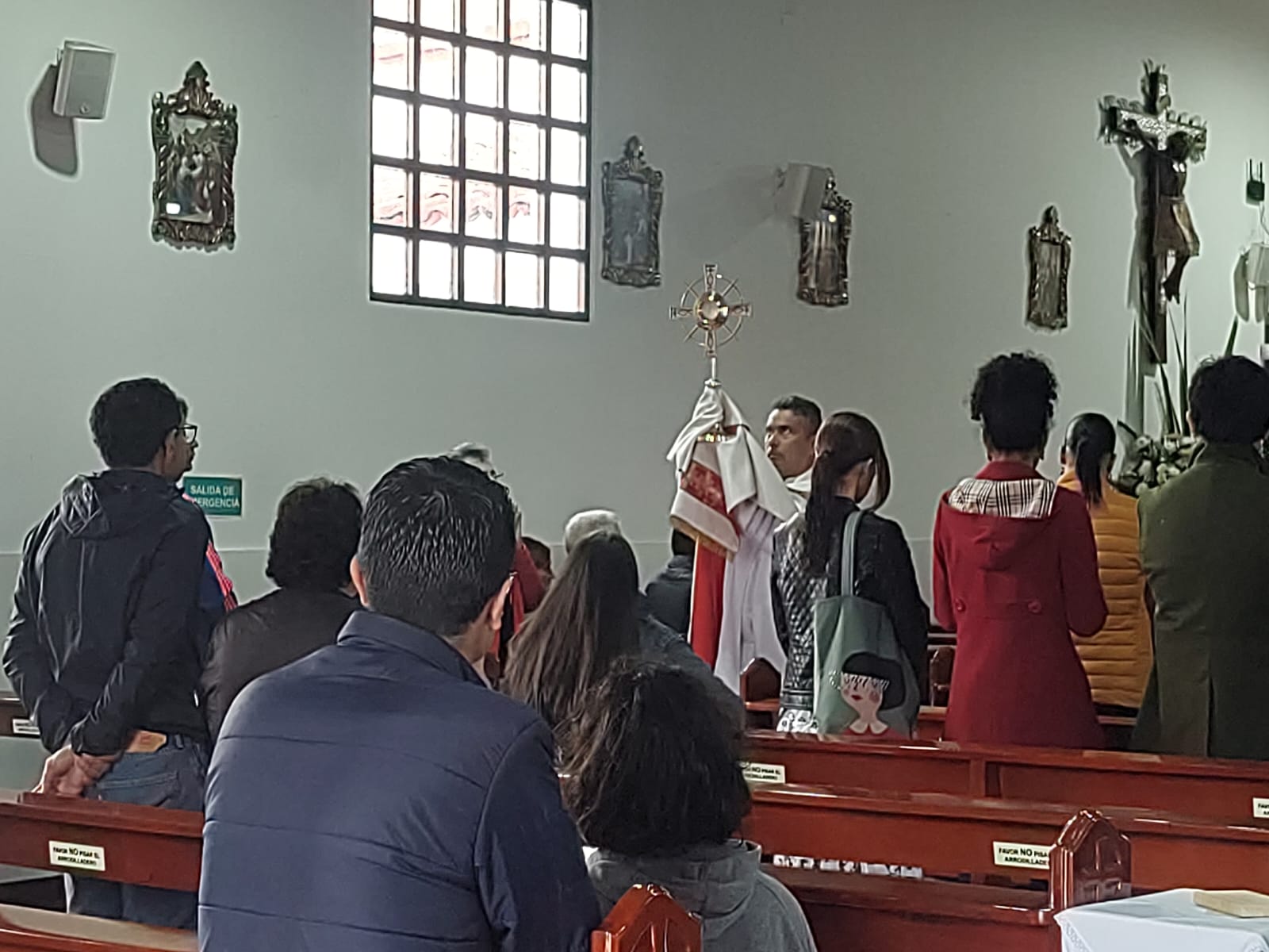 corpus 5
