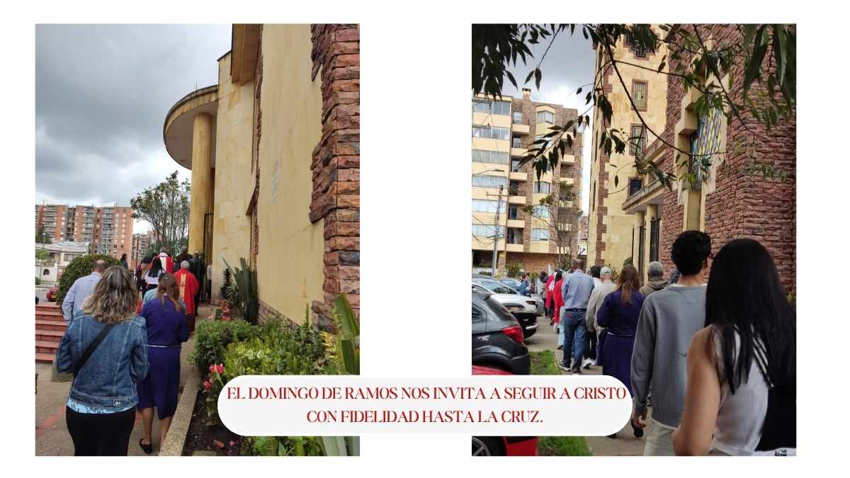 ordenación