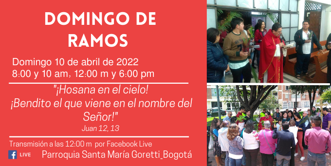 Domingo de Ramos 12 m