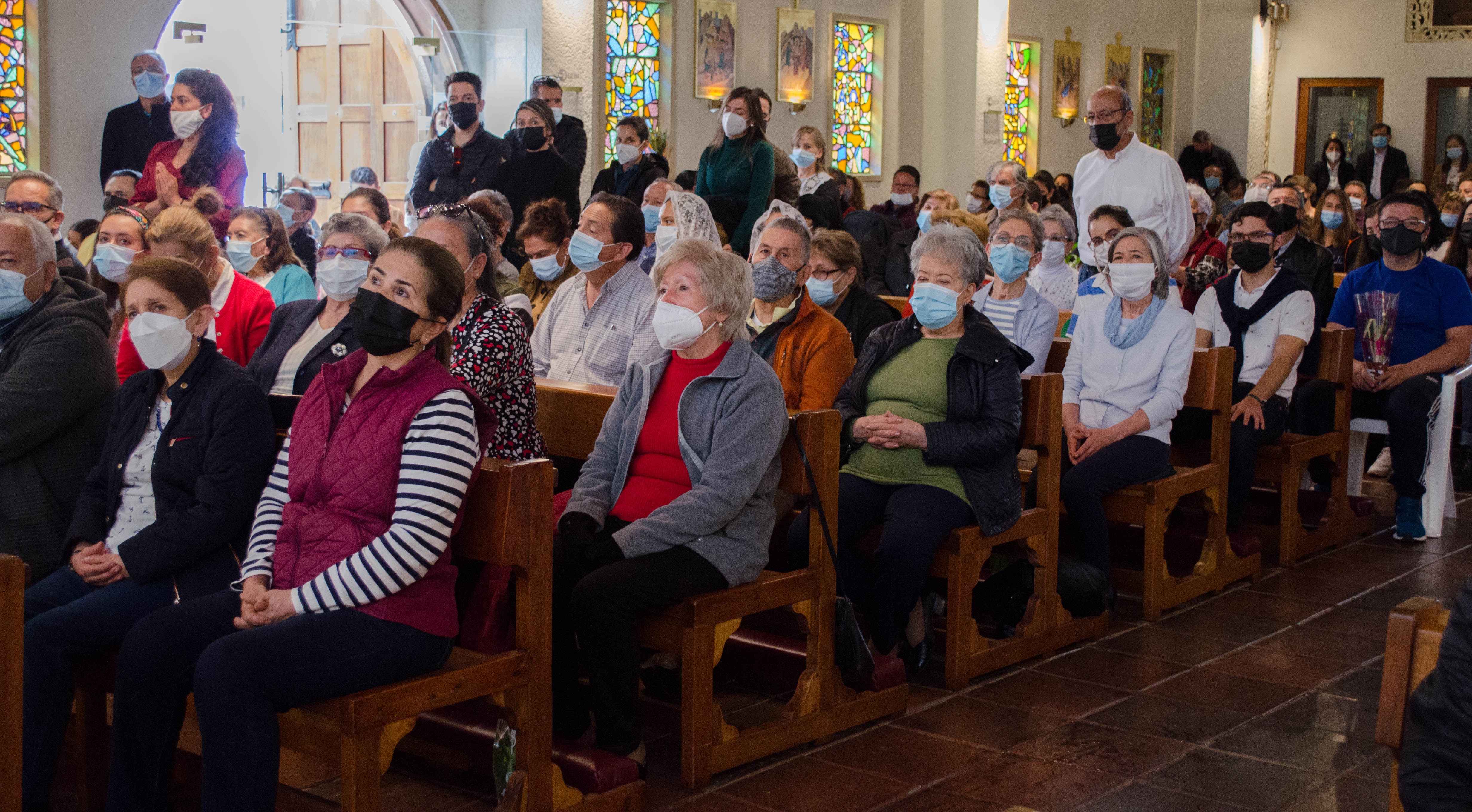 misa SDS