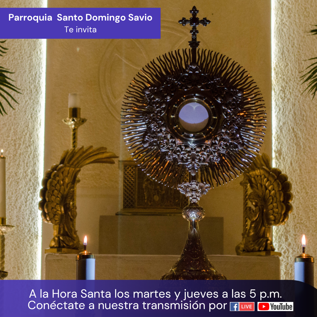 Horario misas SDS