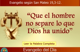 evangelio del dia