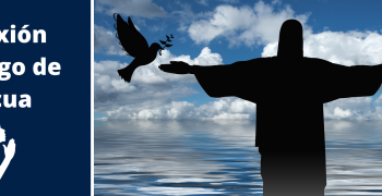 https://arquimedia.s3.amazonaws.com/101/semana-santa-2020/reflexion-domingo-de-pascuapng.png